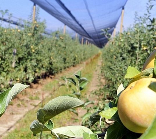 Nova kreditna linija ZABE za poljoprivrednike