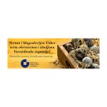 Uskrsna čestitka